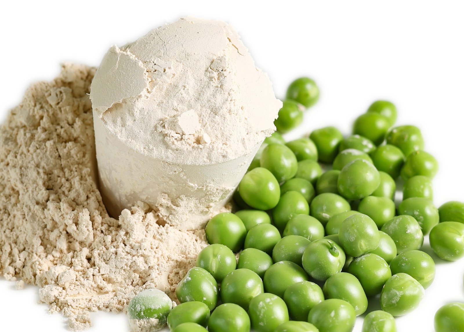 Plant Based Proteins