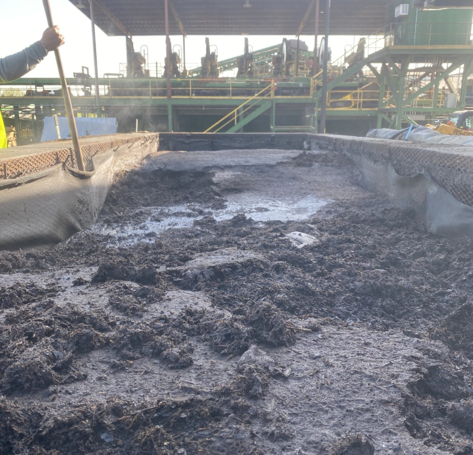 Pulp and Paper Mill Sludge